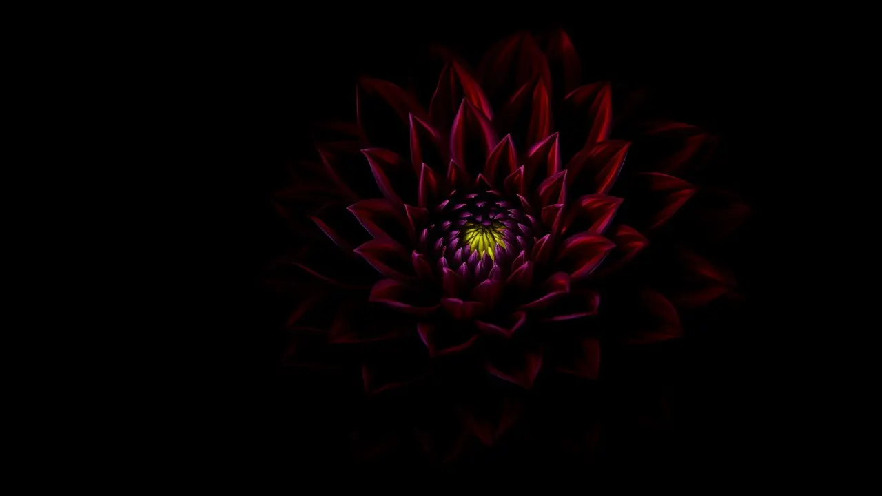 Significado de Sonhar com Dália Negra: Desvende os Mistérios! Dália negra em close-up