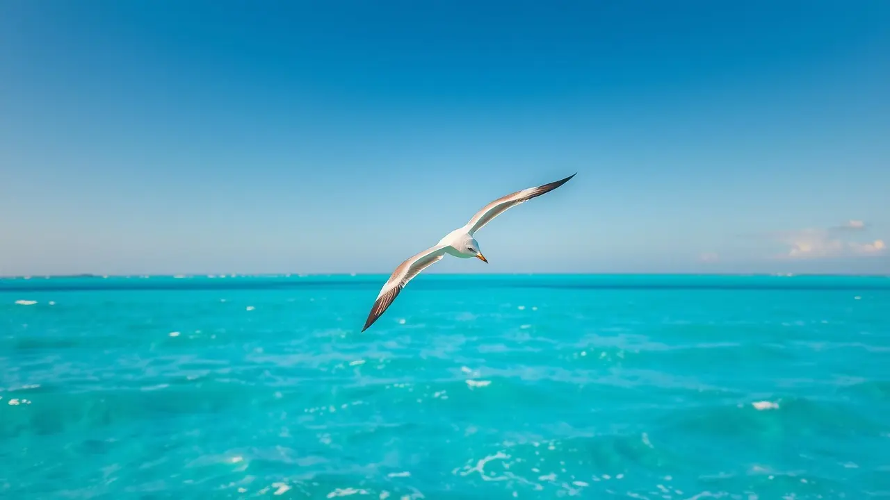 Gaivota voando sobre o oceano