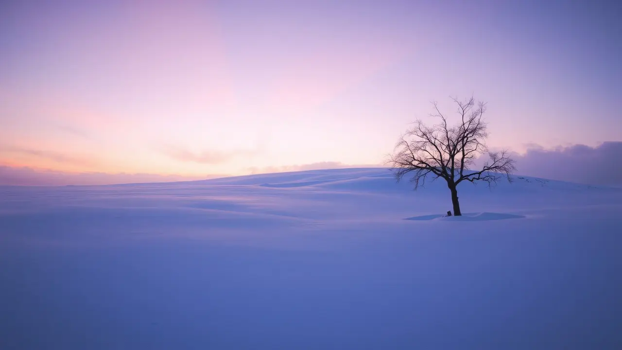 Sonhar com Inverno: Descubra o Significado e as Mensagens Ocultas Paisagem invernal serena com árvore solitária