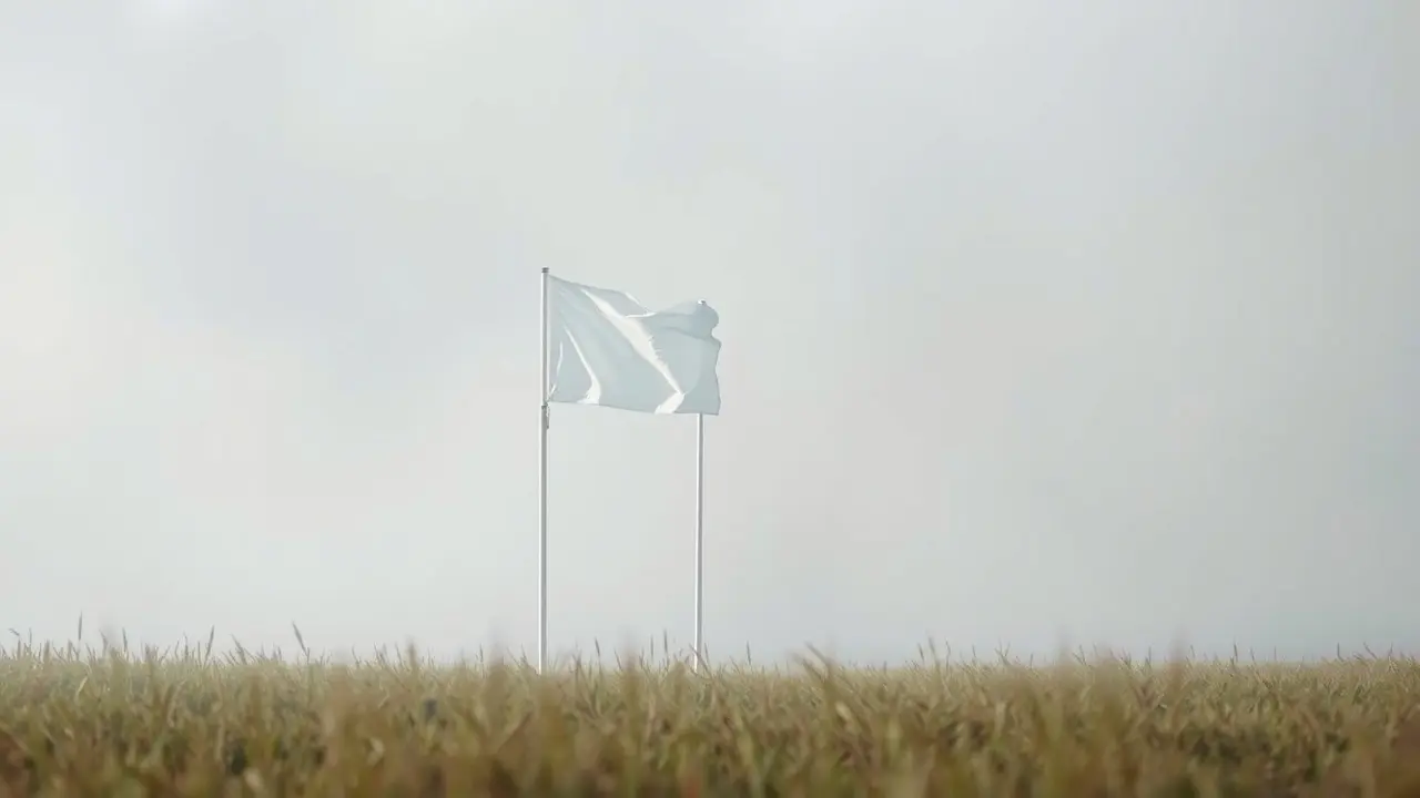Sonhar com Rendição: Descubra o Significado e as Interpretações Bandeira branca tremulando suavemente.