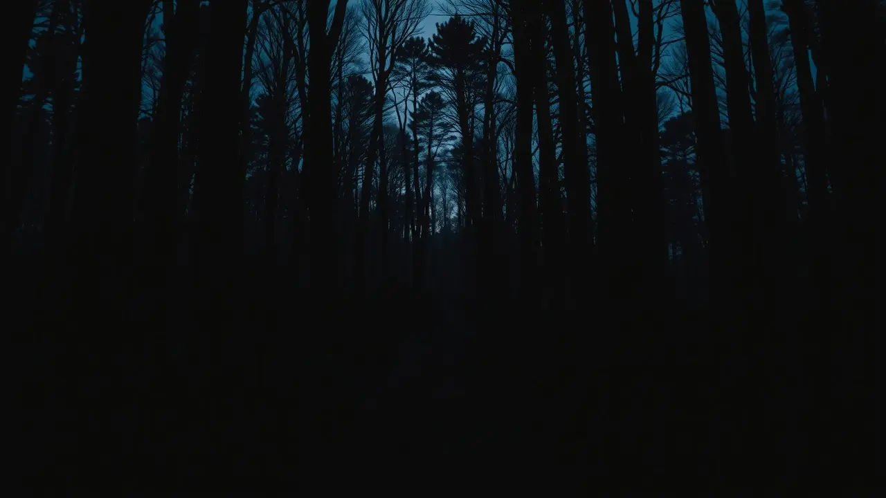 Sonhar com Tocaia: Descubra o Significado Oculto! Floresta sombria com tocaia escondida